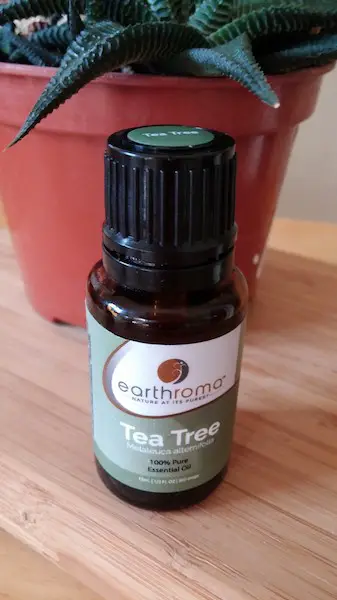 Tea tree oil