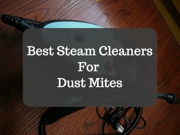 Best Steam Cleaner For Dust Mites