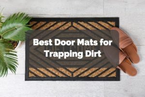 5 Best Door Mats for Trapping Dirt for 2022 - Homelization