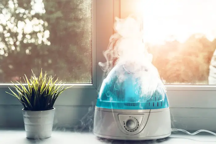 Best Humidifiers For Diverse Purpose